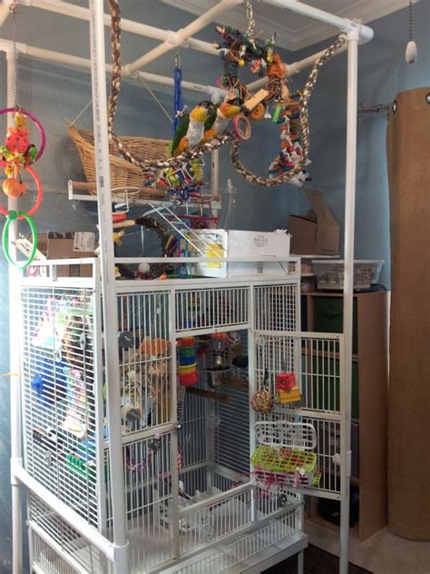 pin  megan lovejoy  bird toys  parrot toys diy bird toys bird room