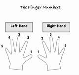 Finger Piano Music Numbers sketch template