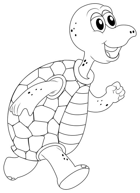 turtle outline  vector art   downloads