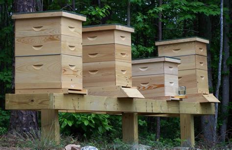 bijen standplaats bij de bijen