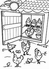 Coop Chicken Coloring Pages Clipart Door Open Kids Farm Chickens Netart Fairy Getcolorings Male Books Part Printable Color Clipground sketch template