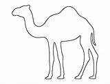 Camel Pattern Outline Printable Craft Template Coloring Patternuniverse Crafts Patterns Templates Print Camels Kids Stencil Use Cut Animal Cardboard Christmas sketch template