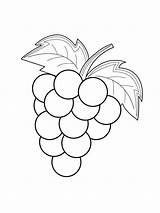 Coloring Pages Grapes Grape sketch template