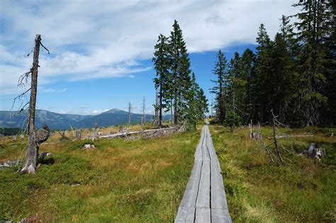 Krkonoše National Park Real Paradise For Hikers And Bikers In Summer