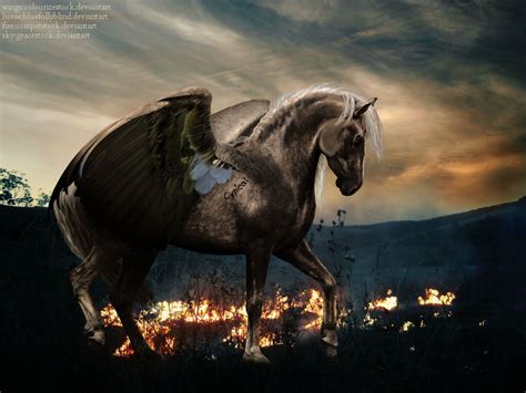 winged horse  cynicalexpressions  deviantart