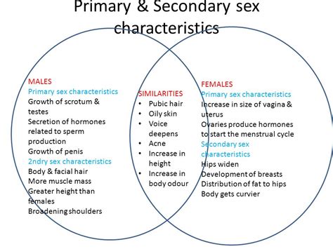 secondary male sex characteristics