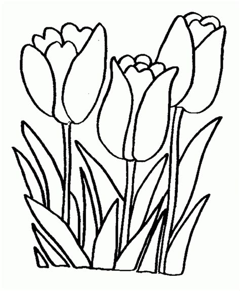 flower garden coloring pages flowers coloring sheets  coloring