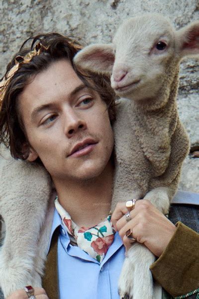 Harry Styles For Gucci Cruise 2019 Tailoring Campa Tumbex