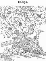 Coloring Pages State Bird Flower Detailed Geography Kidzone Ws Georgia Both Usa sketch template