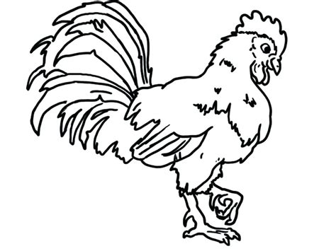 rooster coloring pages  getcoloringscom  printable