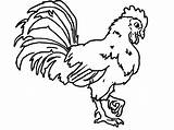 Rooster Coloring Pages Kids Scratching Soil Print Drawing Getdrawings Getcolorings Fight Colouring Printable Color Adults sketch template