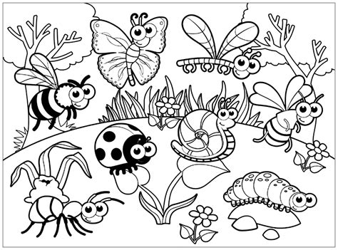 rainforest insects pages coloring pages