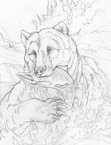 Coloring Bergsma Bear Jody Burning Disegni Vari Waldtiere Ours Tegninger Coloriages Malvorlagen Attrapant Poisson Colorare Vilde Dyr Pyrography Frogs Skizzen sketch template