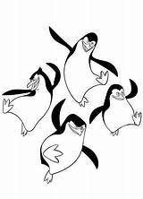 Madagascar Penguins Coloring Pages Colouring Momjunction Movie sketch template