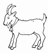 Goat Coloring Pages Goats Animals sketch template