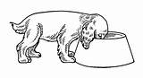 Cani Coloriage Stampare Hund Cagnolini Chiens Futternapf Cane Bojanke Psi Cuccioli Disegnare Crtež Pasa Zivotinje Stampa Printanje Bojanje Crtezi Malvorlage sketch template