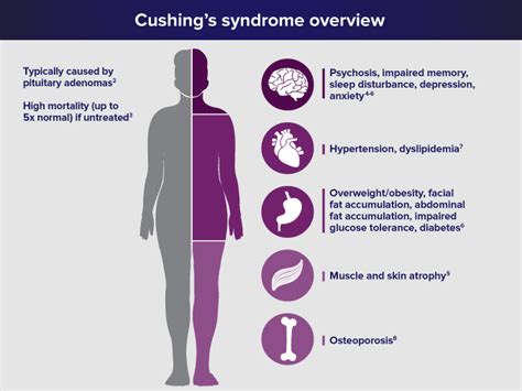 natural treatment for cushing syndrome philadelphia holistic clinic