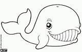Baleia Whale sketch template