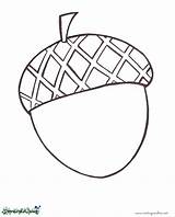 Acorn Colouring sketch template