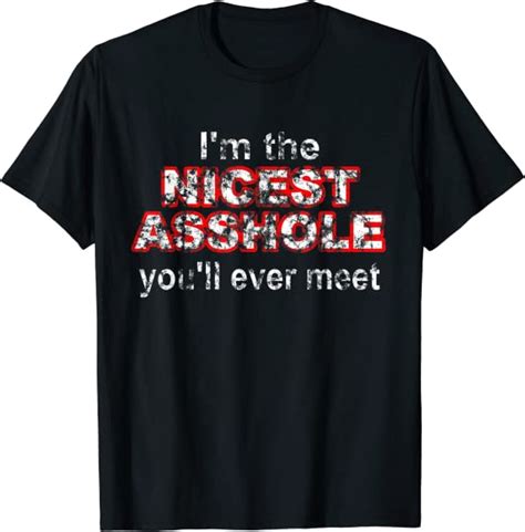 i am the nicest asshole you ll ever meet t shirt clothing