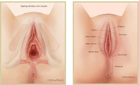 8 simple tips for a healthy vagina ~ health and news