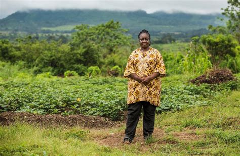 my ebola nearly two years into the largest known… by unicef