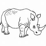 Nashorn Ausmalbild sketch template