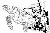 Scuba Diver Turtle Sea Coloring Pages Printable Drawing Green Navy Sketch Diving Color Life Drawings Clipart Turtles sketch template