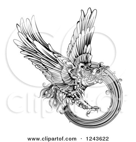 black  white engraved majestic phoenix bird flying posters art