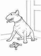 Terrier Staffordshire Bullterrier Colorear Supercoloring Raza Hunde Ausmalbild Zum Kategorien sketch template
