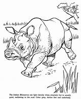 Animal Coloring Pages Rhino Drawings Drawing Zoo Indian Rhinoceros Animals Kids Rhinos Printable Colouring Color Honkingdonkey Wild Book Worksheets Fun sketch template