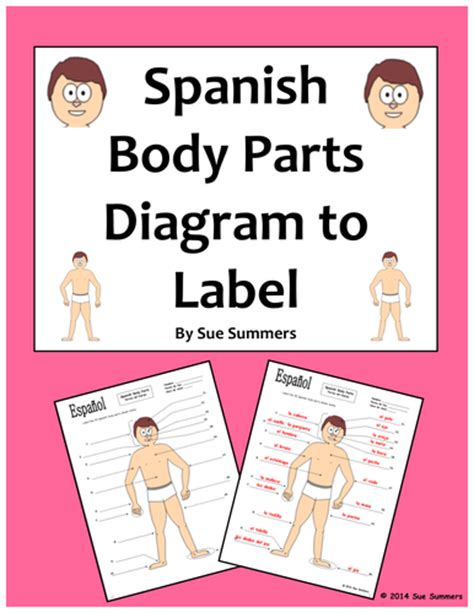 spanish body parts diagram  label   body parts  suesummersshop teaching resources tes