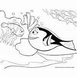 Coloring Pages Squirt Crush Cartoons Charizard Maleficent sketch template