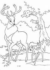 Bambi Kolorowanka Jelonek Lesie Jeleń Spacerze sketch template
