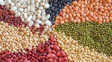 which beans are good for diabetics 10 benefits beat diabetes