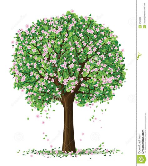 pin  eder hrod  wallpapers spring tree tree drawing tree art