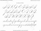 Spencerian Penmanship Kalligraphie Schriftarten Buchstaben Antiquepatternlibrary Lernen Handwriting sketch template