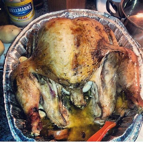 What To Cook For Thanksgiving Turkey Or Predator