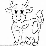 Cow Coloring Pages Cute Little Cows Calf Cartoon Drawing Simple Animals Outline Color Longhorn Printable Animal Farm Print Colouring Baby sketch template