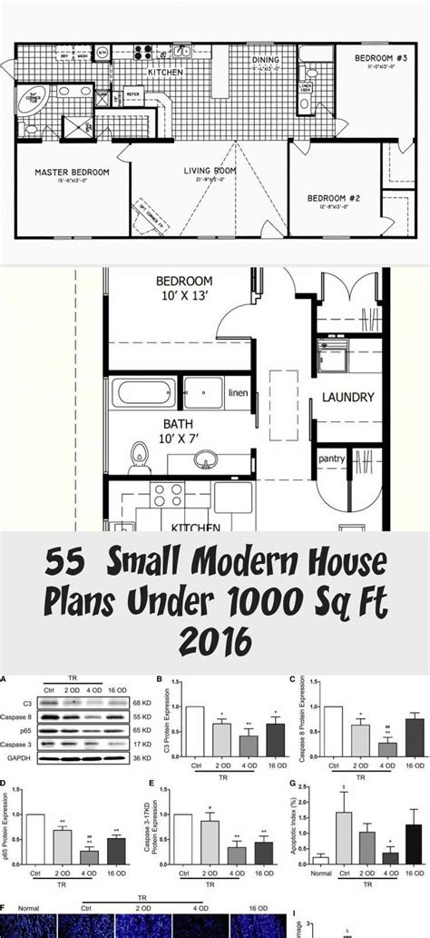 small modern house plans   sq ft  modernhousesketchprojects