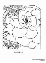 Coloring Pages Printable Flower Getcoloringpages Sheets sketch template