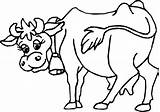 Cow Coloring Dairy Pages Bell Kids Ringing Wear Netart Clipart sketch template