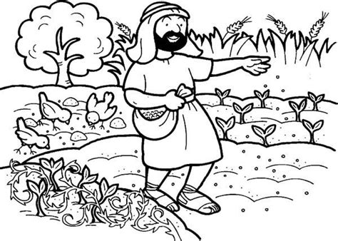 seeds coloring pages coloring home