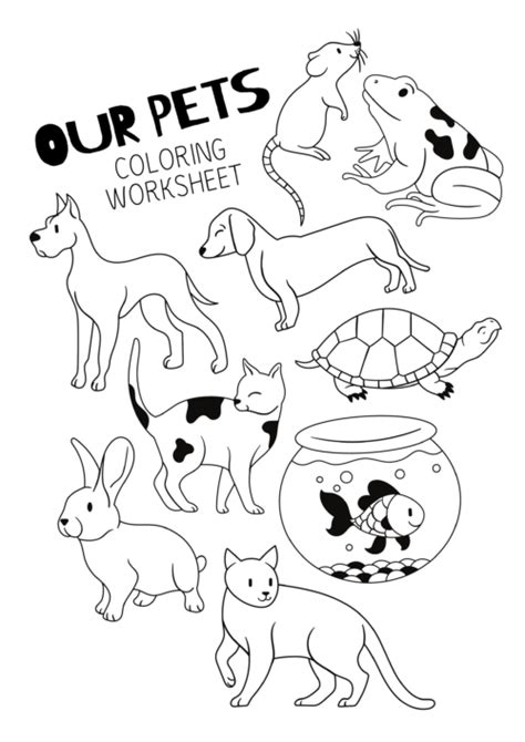 pet coloring pages    preschool