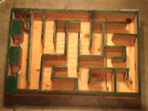hamster maze experiment youtube