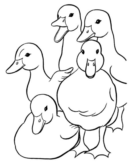 ducklings coloring page coloring home