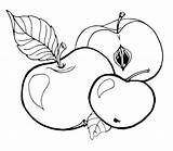 Fructe Toamna Colorat Planse Desenat Fise Universdecopil Interferente Planşe Toamnă Multe Găsiţi sketch template