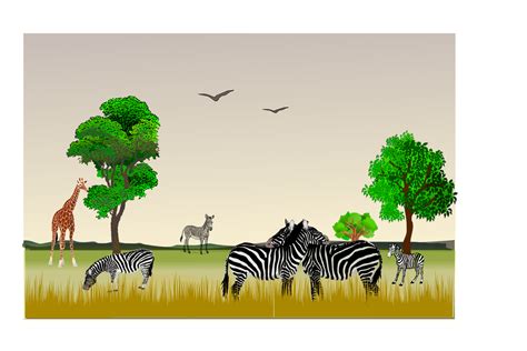 african game reserve clip art image clipsafari