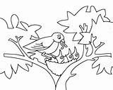 Coloring Dibujos Pajaritos Pajaros Burung Mommy Mewarnai Filhote Passarinho Aves Aktifitas Everfreecoloring Coloringbay Colorironline Wecoloringpage sketch template
