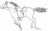 Horse Coloring Western Tack Running sketch template